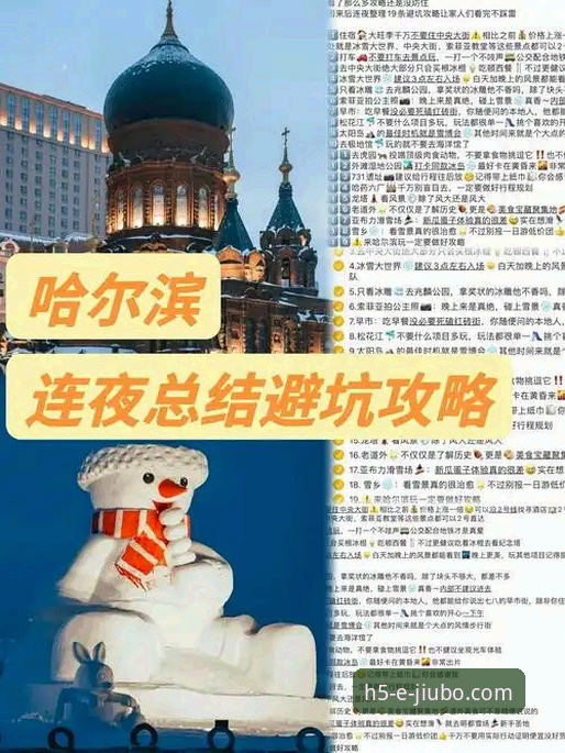 九博体育平台会员服务完整指南：从注册到高阶使用的专业解析